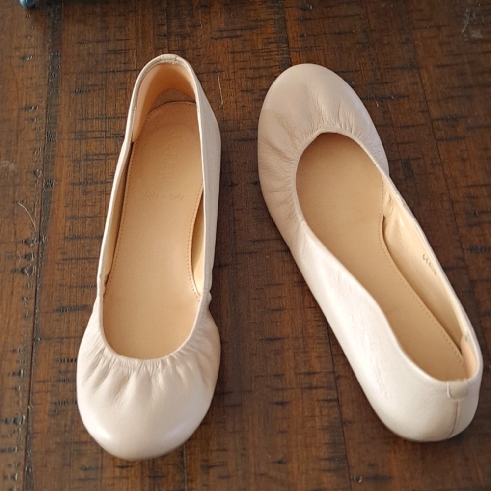 J Crew Cece Italian Shoes